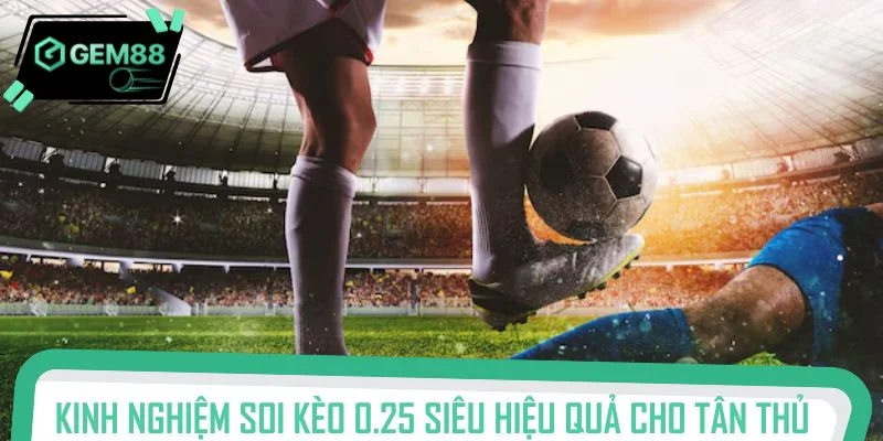 Kinh nghiệm soi kèo 0.25 siêu hiệu quả cho tân thủ